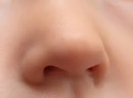 nose jpeg